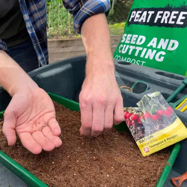 Levington® Peat Free Seed & Cutting Compost 20 litre