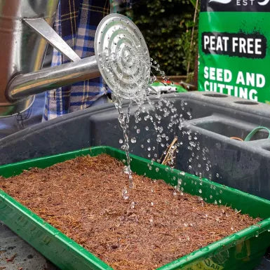 Levington® Peat Free Seed & Cutting Compost 20 litre