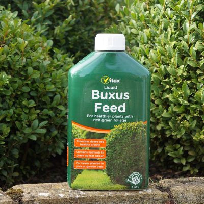 Vitax Buxus Feed Liquid 1Litre