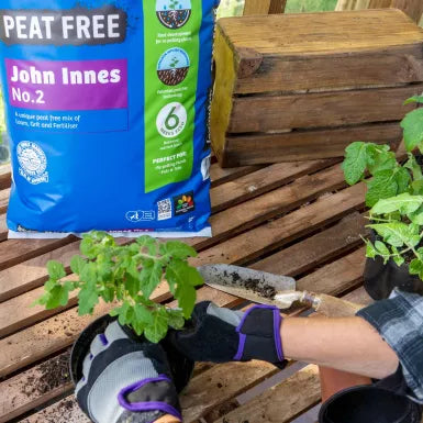 Levington® Peat Free John Innes No.2