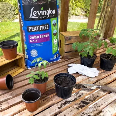 Levington® Peat Free John Innes No.2