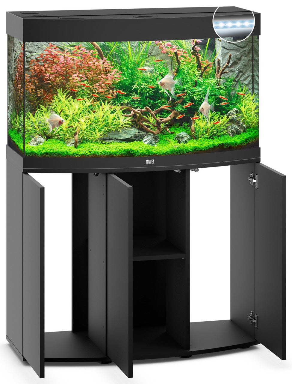 Vision 180 Aquarium