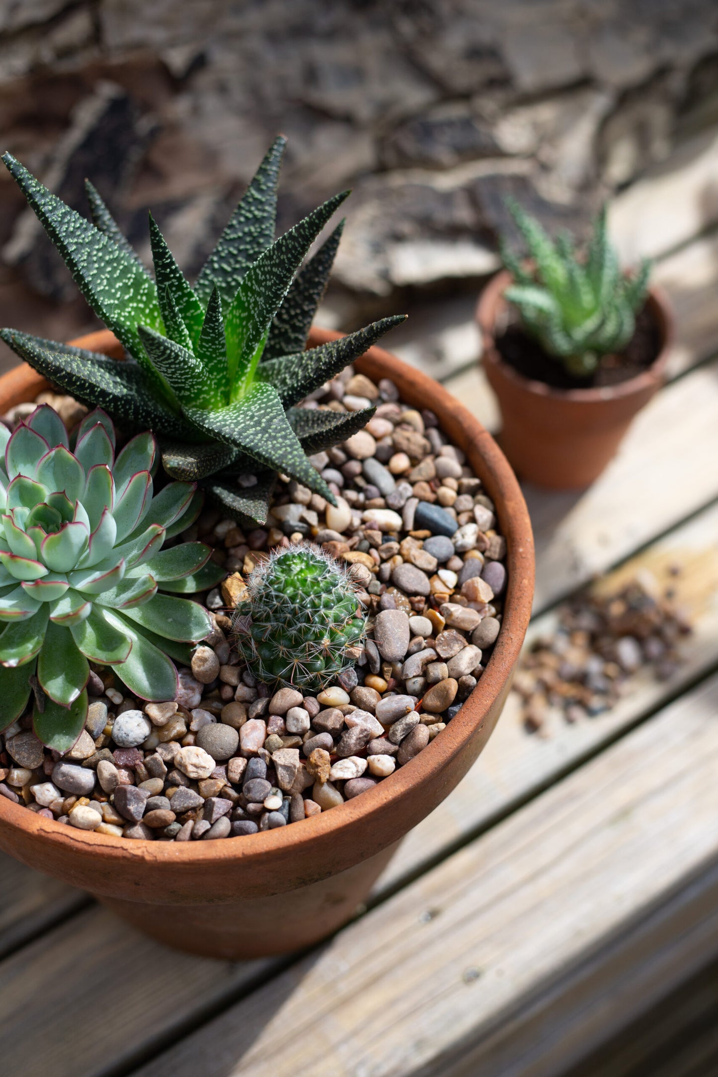 Horticultural Washed Gravel