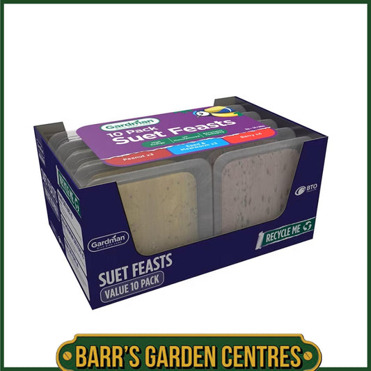 Gardman Suet Feasts 10 Pack