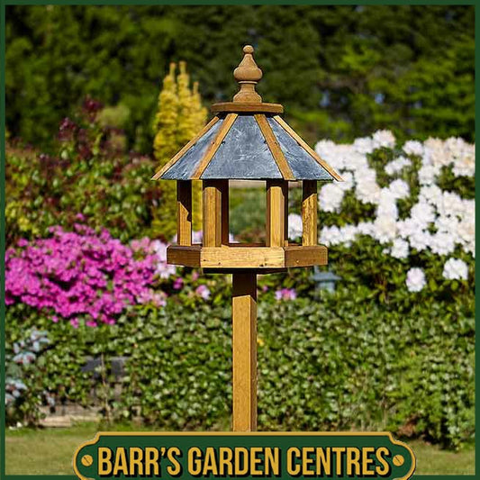 Tom Chambers Baby Dovesdale Bird Table