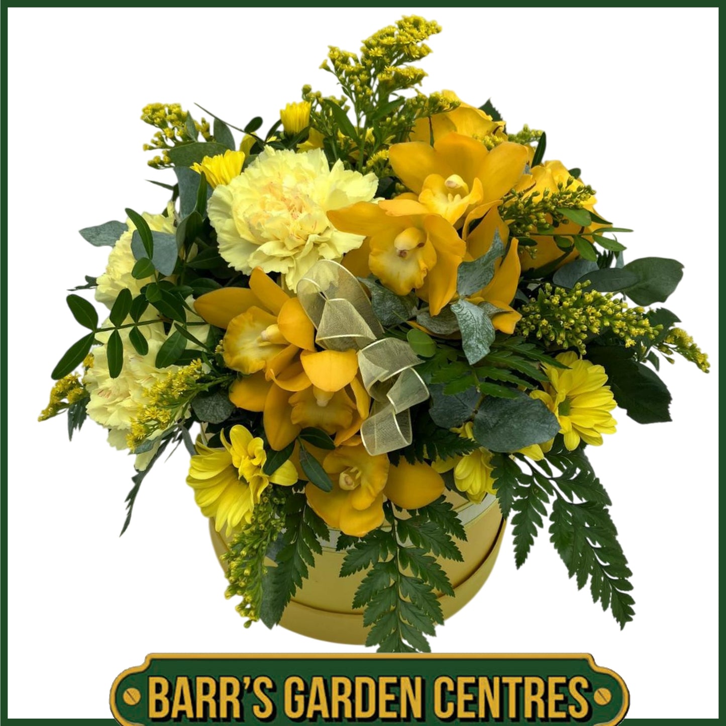 Hat Box Yellow Theme