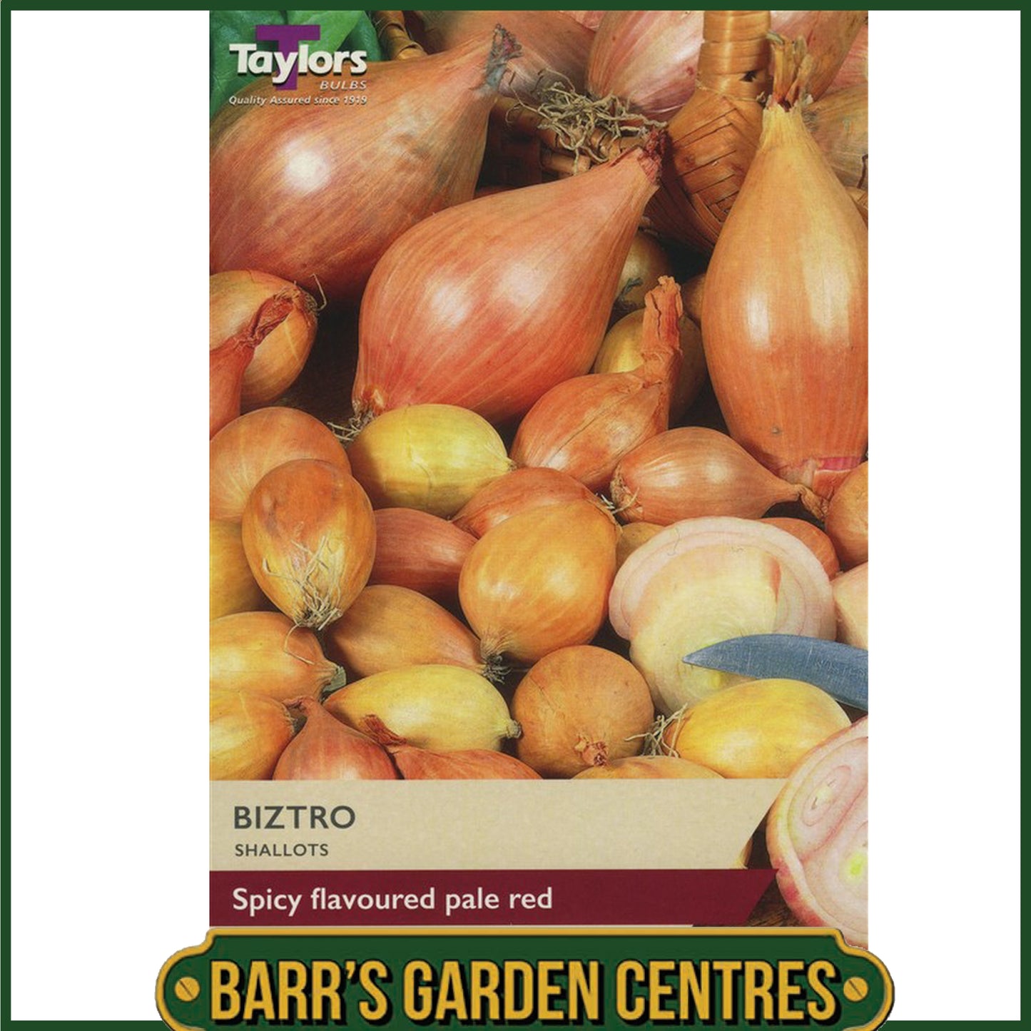 Biztro Shallots 10 Pack