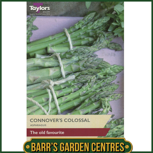 Connover's Colossal Asparagus 2 Pack