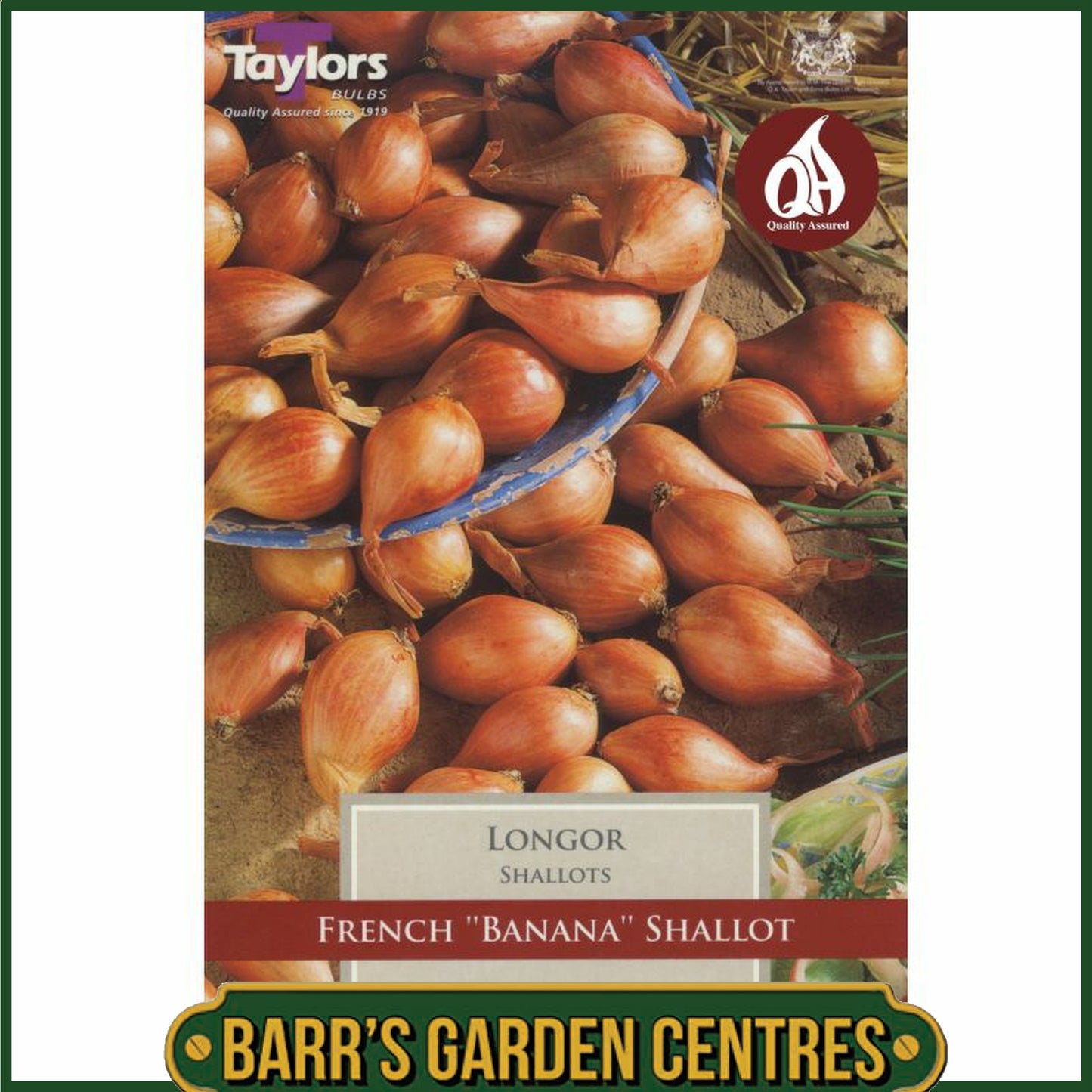 Longor Shallots 10 Pack