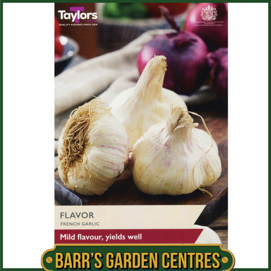 Flavor Garlic Bulbs 2 Pack