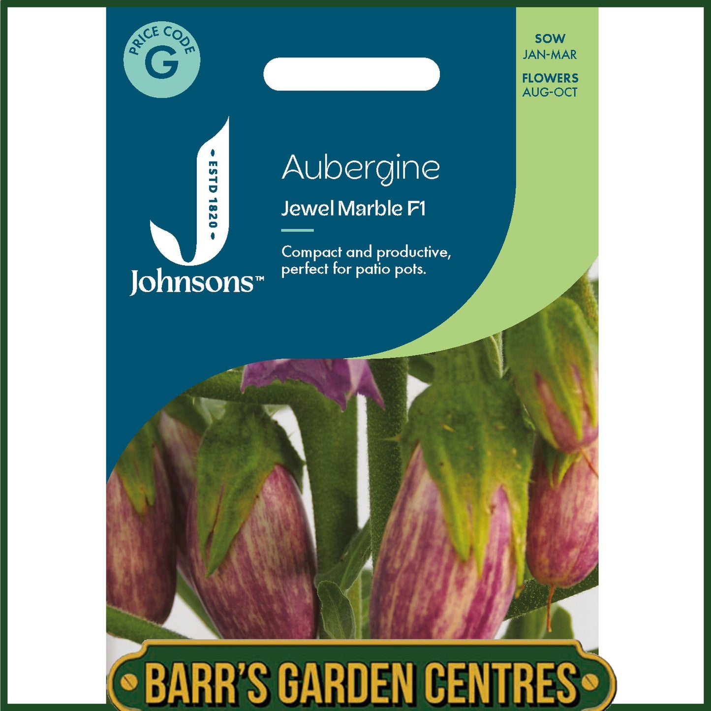 Johnsons - Aubergine Jewel Marble F1 - 10 Seeds