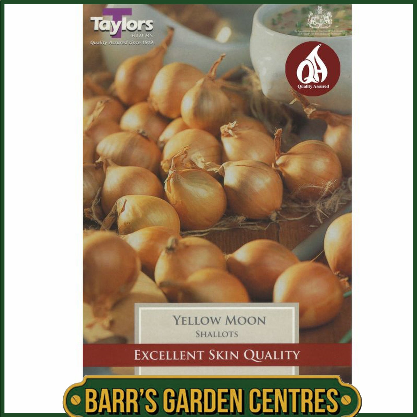 Yellow Moon Shallots 10 Pack
