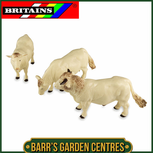 BRITAINS Charolais Cows