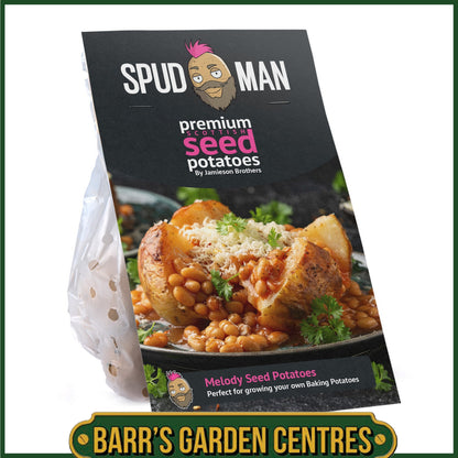 SpudMan Melody Seed Potatoes Taster Pack (6 Pack)