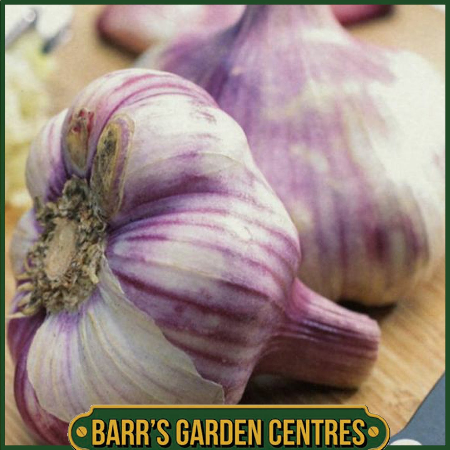 Edenrose Garlic Bulbs 2 Pack