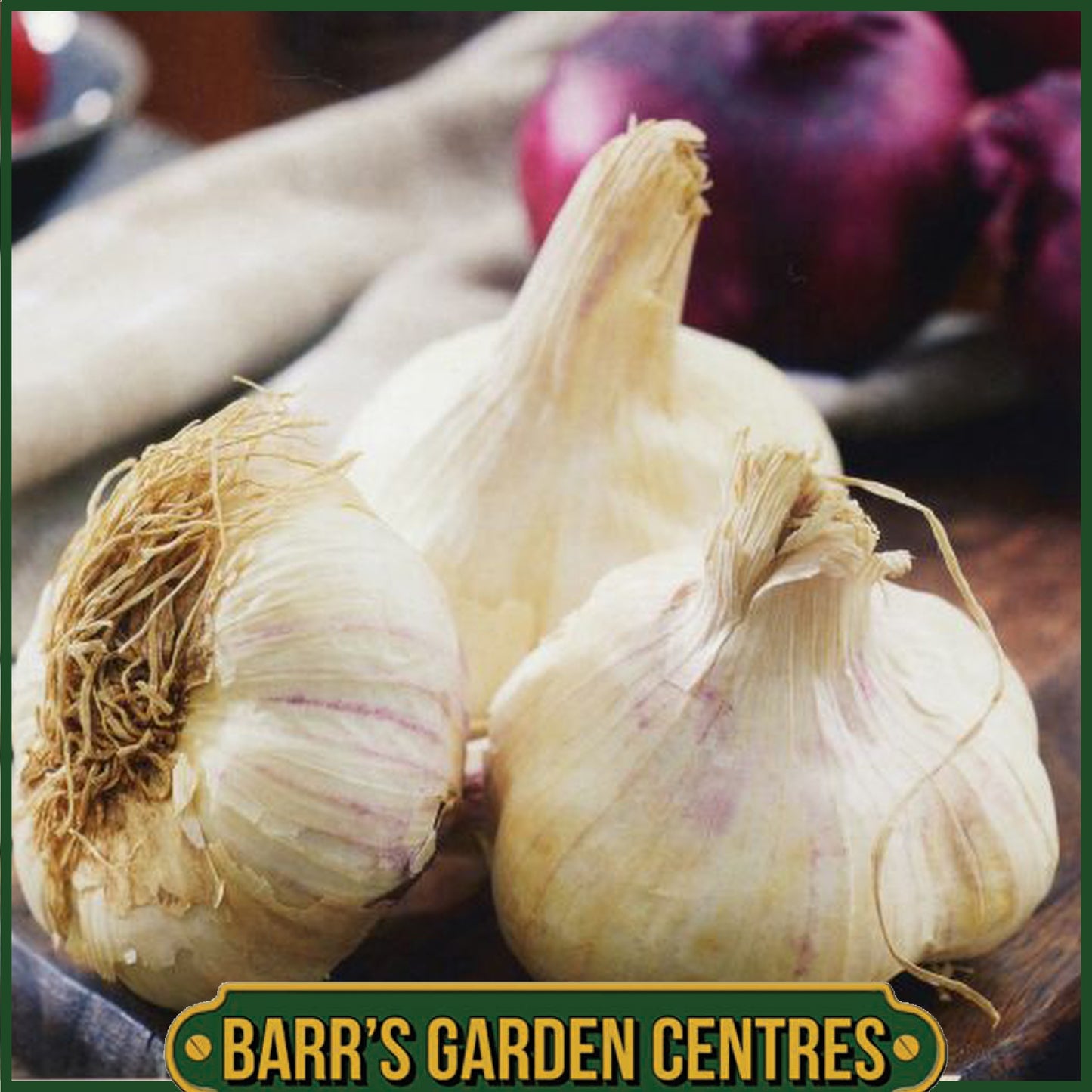 Flavor Garlic Bulbs 2 Pack