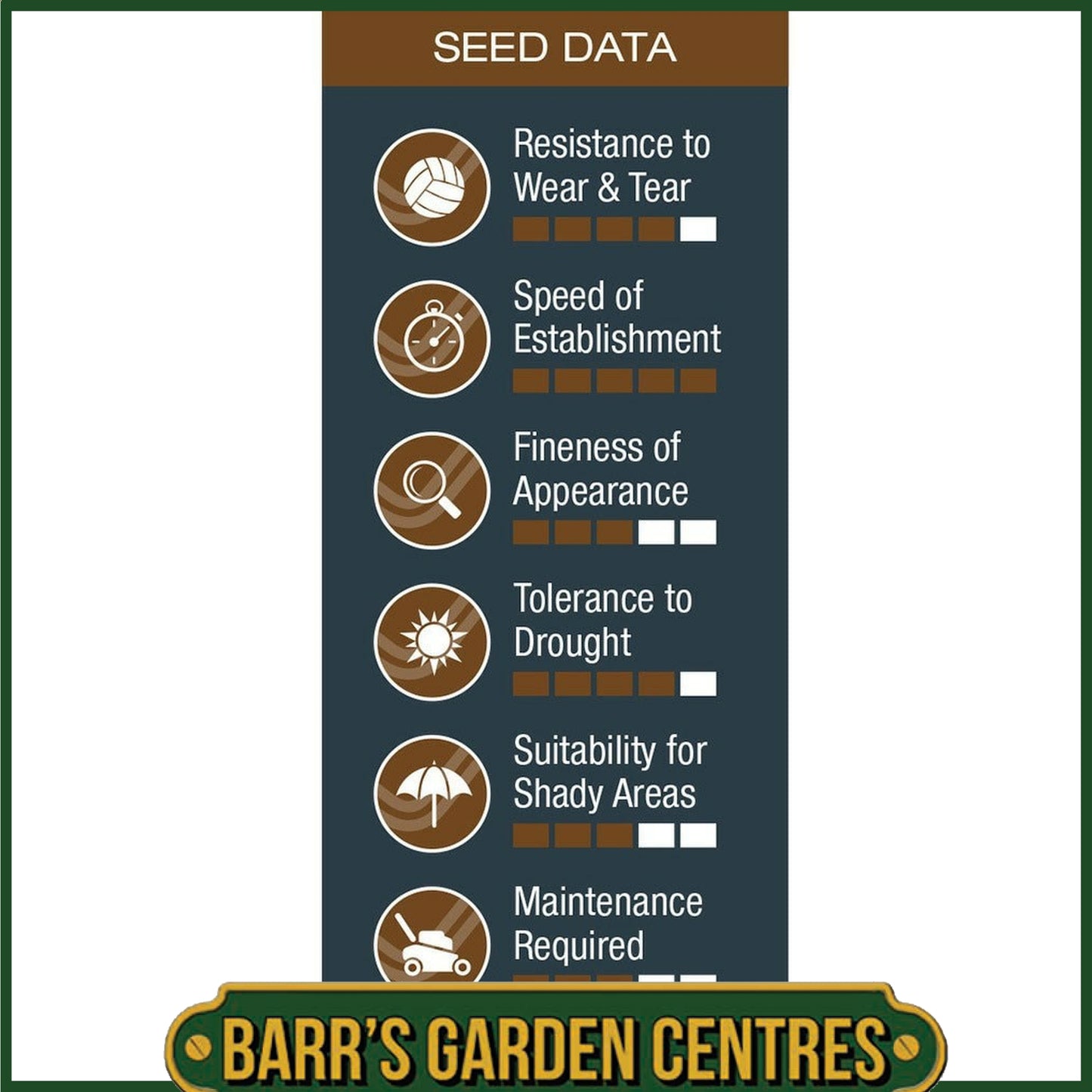 Johnsons Lawn Seed Any Time