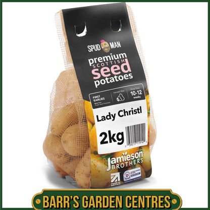 SpudMan Lady Christl Seed Potatoes 2KG
