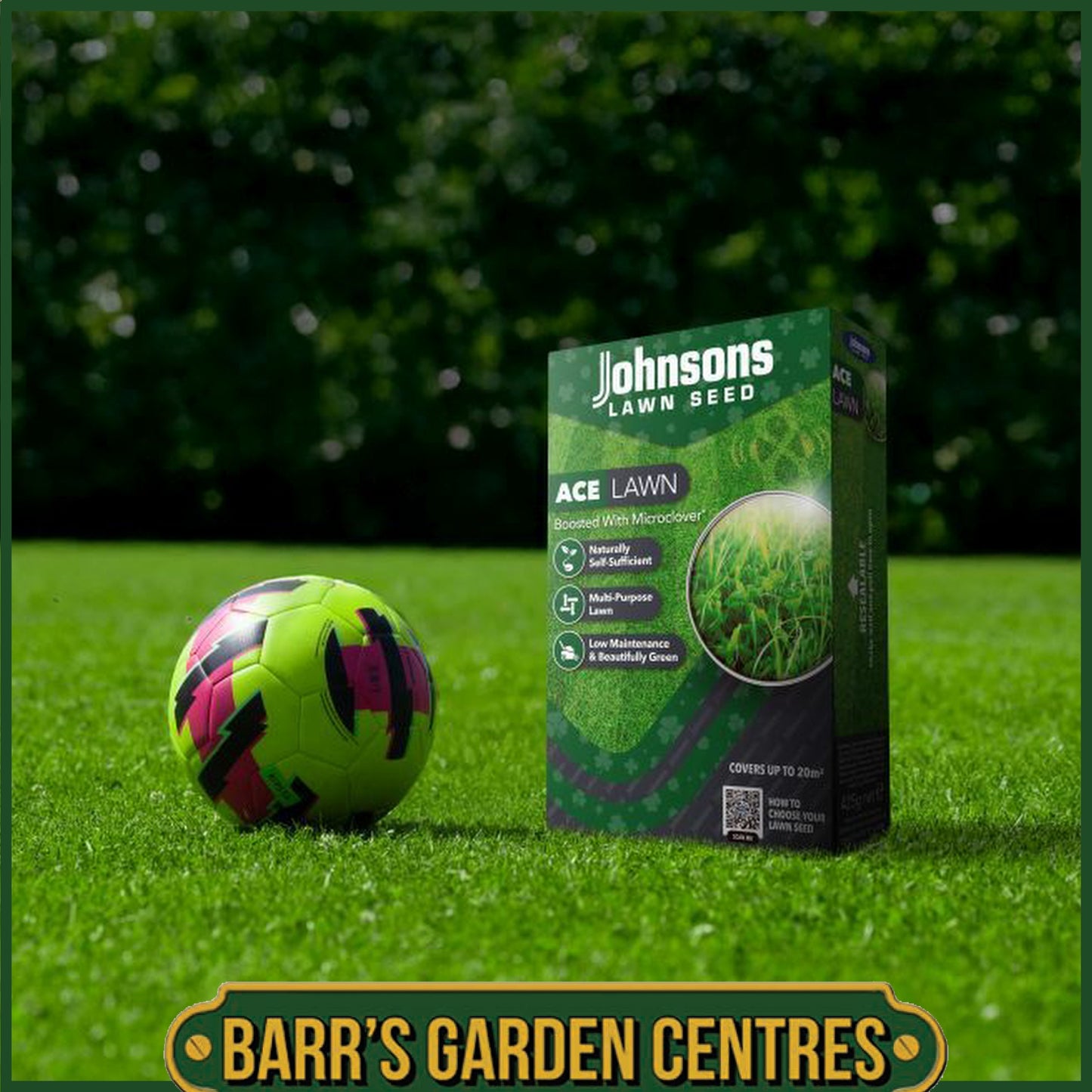 Johnsons Lawn Ace seed