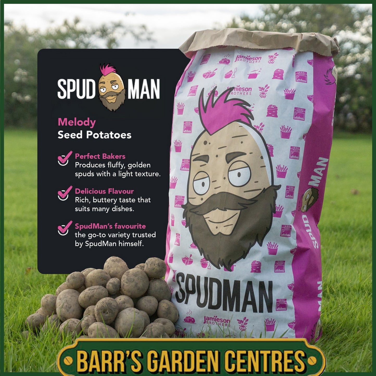 SpudMan Melody Seed Potatoes Taster Pack (6 Pack)