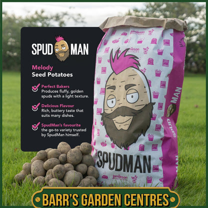SpudMan Melody Seed Potatoes Taster Pack (6 Pack)