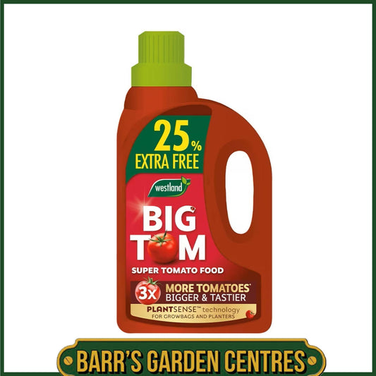 Westland Big Tom Super Tomato Food 1L + 25% Extra Free