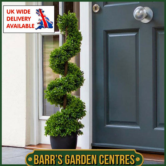 Smart Garden Topiary Twirl - 90cm
