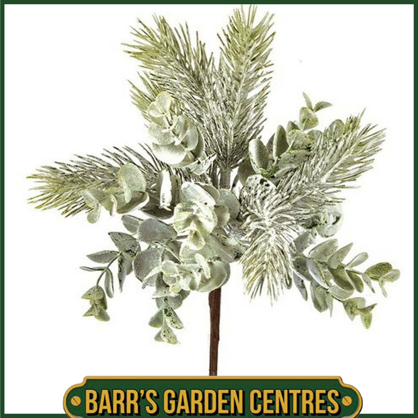 Premier Eucalyptus Pick - 30cm