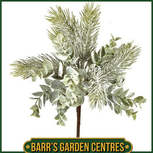 Premier Eucalyptus Pick - 30cm