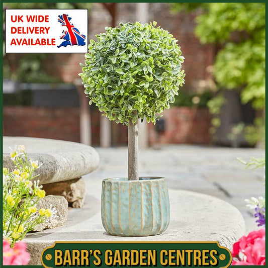 Smart Garden Uno Topiary Tree 35cm
